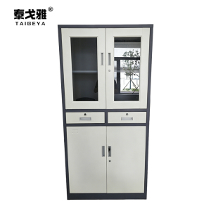 泰戈雅 资料文件柜 1850x500x1000mm 个