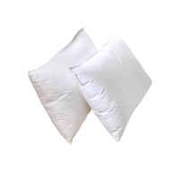 顾享家 枕芯470*750mm 个