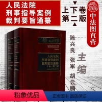 [正版]中法图 人民法院刑事指导案例裁判要旨通纂 第二版 上下卷 陈兴良 刑事指导案例 刑法研究刑事法律实务案例分析裁