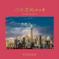音像璀璨深圳四十年(精)南方电网深圳供电局有限公司