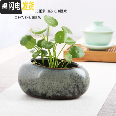 三维工匠水仙花铜钱水培花盆水养的仿石头盆景碗莲睡莲个性创意陶瓷无孔 深卡其布色SG-813x 中等花盆容器