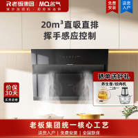 新品 老板名气大吸力油烟机侧吸式近吸式吸油烟机抽烟机排烟机脱排排风机A311