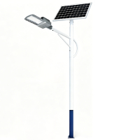 亿维顿 LED太阳能路灯 6米灯杆+灯头100W 套