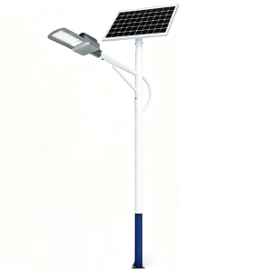 亿维顿 LED太阳能路灯 6米灯杆+灯头100W 套