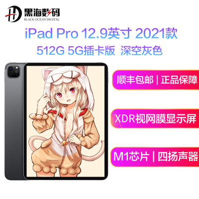 现-货-已-到-苹果Apple2021新款iPadPro12.9英寸512G5G插卡版苹果平板电脑MHRH3深空灰色海外版