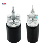 常顺鑫 低压铝芯电缆ZC-YJLV4×25+1×16 米