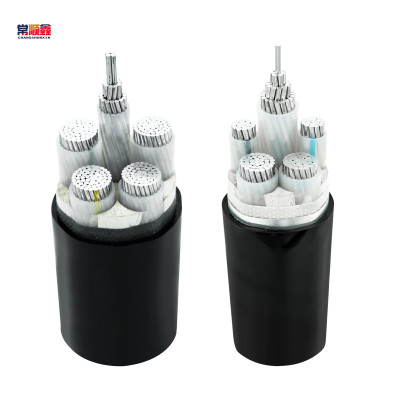 常顺鑫 低压铝芯电缆ZC-YJLV4×25+1×16 米