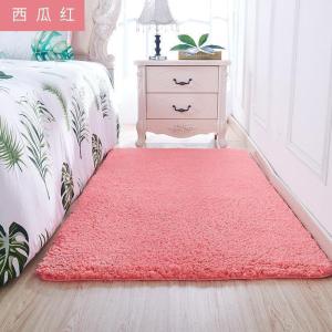 美帮汇家用地毯卧室床边毯少女心满铺房间网红垫子客厅毛绒床前地垫