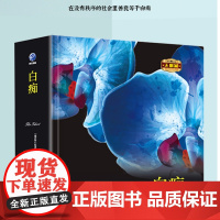 正版 白痴 陀思妥耶夫斯基原著无删减 耿济之儿童小学生中学生初中高中课外书阅读中小学课外阅读名著未删减插图珍藏版全译本