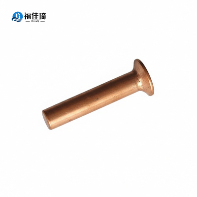 福佳琦 沉头铆钉 M2*5 个