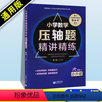 数学 小学六年级 [正版]小学六年级数学压轴题精讲精练小升初数学真题破难题瓶颈小学六年级小升初课外辅导培优尖子生资料上海