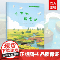正版 小芋头成长记 王博杰 闵庆文 聂辉 中国农业出版社