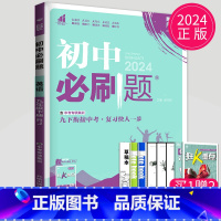 英语 九年级下 人教版 [正版]2024新版初中必刷题九年级上册下册数学英语化学物理九下人教版苏科版苏教版沪教江苏初三必