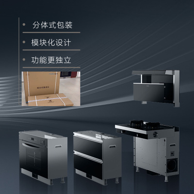 左排烟组合灶套餐（天然气ZH02R+蒸烤一体机）