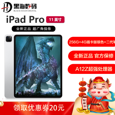 2020年新款AppleiPadPro11英寸256GB4G版银色+ApplePencil二代