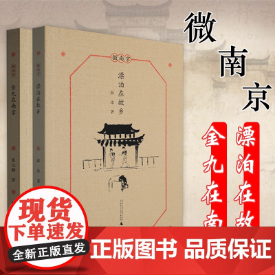 [2册]微南京:漂泊在故乡+ 金九在南京 名家笔下的老南京家住六朝烟水间旧时燕书籍