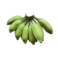 [熊猫鸟]牛角香蕉 净重3斤 箱装 新鲜当季水果 香甜软糯 孕妇宝宝辅食