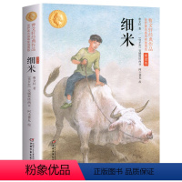 细米(插图版) [正版]曹文轩经典作品全套5册草房子曹文轩五六年级上四年级下册原著青铜葵花完整版细米根鸟小学生课外书阅读