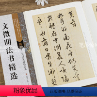 [正版]古代经典碑帖善本文徵明法书jing选 毛笔软笔行书草书碑帖书法练字帖傅如明主编繁体旁注附原寸局部 浩瀚文化
