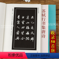 [正版]苏轼行书集唐诗 于魁荣 收录50首诗行书集字唐诗 苏轼行书法帖成人学生初学临摹字帖 原文对照用笔结字与章法书法