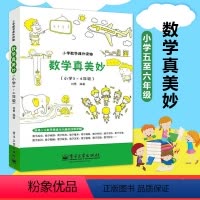 数学真美妙5-6年级 小学通用 [正版]趣味数学 数学真美妙5-6年级 数学课外读物 5-6年级 数学课外书 数学辅导