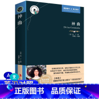 神曲 双语版 [正版]中英双语版 神曲 但丁著 完整版英文原版中文版 英汉汉英对照图书中英文对照双语 世界文学学生看英语