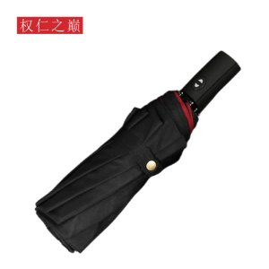权仁之巅 全自动三折双层雨伞 QRZD-S105 把