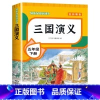 [单本]三国演义 [正版]四大名著原著小学生版全套 西游记水浒传三国演义红楼梦青少年版本快乐读书吧五年级下册课外书书目5