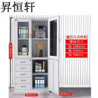 昇恒轩 偏五斗文件柜更衣储物铁柜柜子 SHX-0422 个(钢板厚度0.7mm )