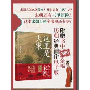 [M]这里是大宋-9787122419743