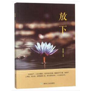 正版新书]放下李浩天著9787502068387