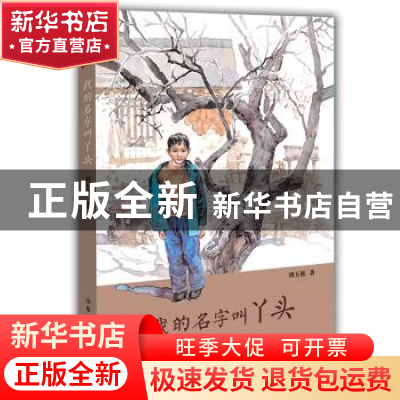 正版 我的名字叫丫头 刘玉栋著 山东教育出版社 9787532892075 书