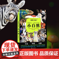 儿童纸上纪录片小自然 波点童趣 一整本的高清大图 给孩子的视觉盛宴 少儿科普绘本百科全书课外读物绘本漫画 磨铁图书 正版