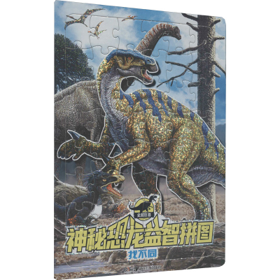 [M]神秘恐龙益智拼图 找不同-9787535696113