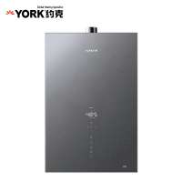 YORK约克燃气热水器20升大水量JSQ37-20YK-F06S