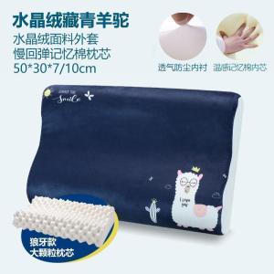 美帮汇记忆棉枕头按摩颗粒枕成人男女单人学生枕芯带枕套一对拍2