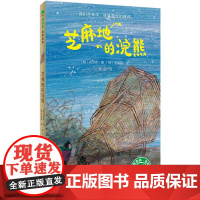 魔法象 芝麻地的浣熊 俞承希/著 亲情友情 想象幽默 生命教育 价值养成 适合8-12岁儿童 广西师范大学出版社