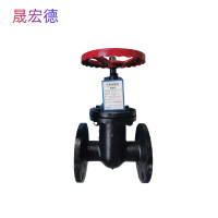 晟宏德 铸铁闸阀 法兰 DN150 个