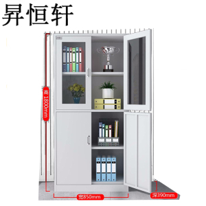 昇恒轩 中二斗文件柜办公室档案资料财务凭证更衣储物铁柜矮柜柜子 SHX-0422 个(钢板厚度 0.7mm )