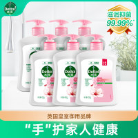 滴露洗手液450g*6瓶滋润倍护抑菌清洁家庭装儿童按压瓶装温和抗菌套装