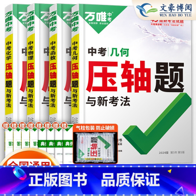 [几何+函数+物理+化学]4本套装 初中通用 [正版]2024数学物理化学压轴题专项训练 初二初三初中数学几何二次函数方