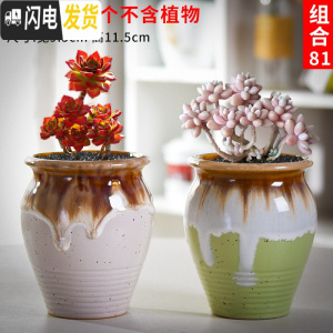 三维工匠老庄多肉花盆悬崖桩肉肉植物小盆器黑法师粗陶大口径创意个性 如图款式7 中等花盆容器