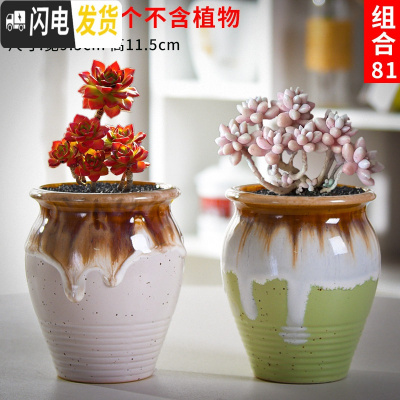 三维工匠老庄多肉花盆悬崖桩肉肉植物小盆器黑法师粗陶大口径创意个性 如图款式7 中等花盆容器