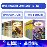[全套20册]动物小说第1+2+3辑 [正版]全套沈石溪动物小说大王全集小学生三四至六五年级课外书的作品阅读书籍儿童读物