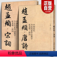 [正版]全套2册 赵孟頫宋词+唐诗 中国历代书法名家作品集字 繁简对照毛笔临帖集字古诗词赵孟俯行书楷书行草字帖临摹范本