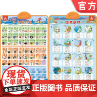 正版 瑞莉兔双面发声大挂图 汉语拼音 海润阳光 触摸按键 儿童认知能力教育 幼儿早教 小儿益智 头脑发育