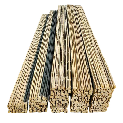 贝策 竹踏板 竹架板竹跳板 300*2900mm 个