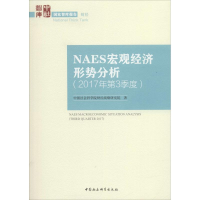 音像NAES宏观经济形势分析财经战略研究院 著