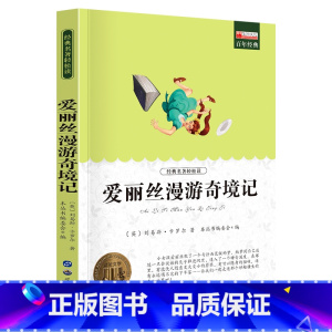 单册 [正版]爱丽丝漫游记课外阅读书少年儿童成长文学读物原版文艺书籍小学生课外书阅读书目二三四五六年级图书