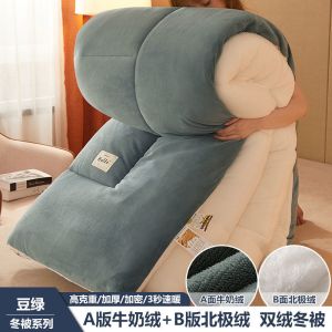 被子双面绒冬被秋冬季保暖加厚牛奶绒加绒被芯褥